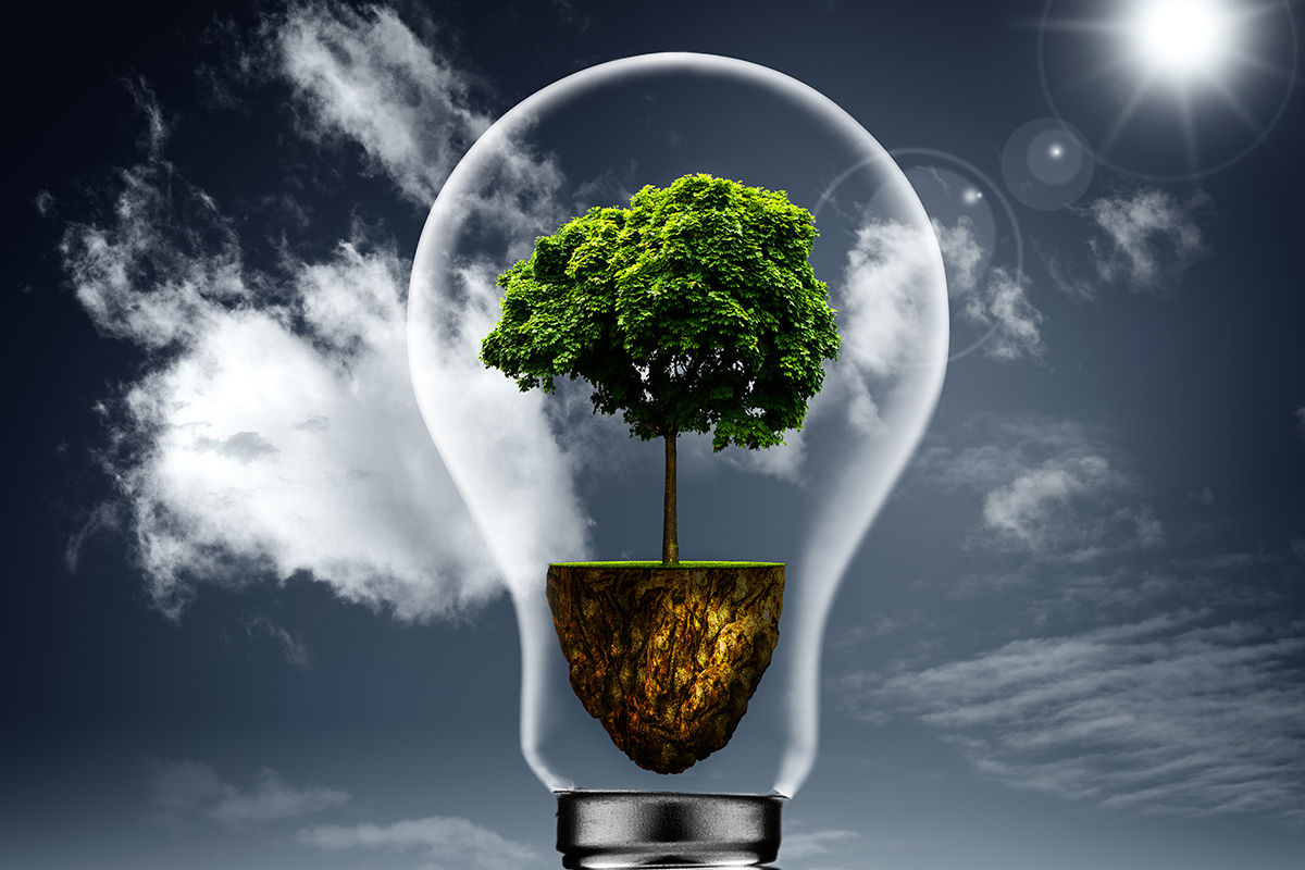 BioCRUDE’s Waste Management Solutions